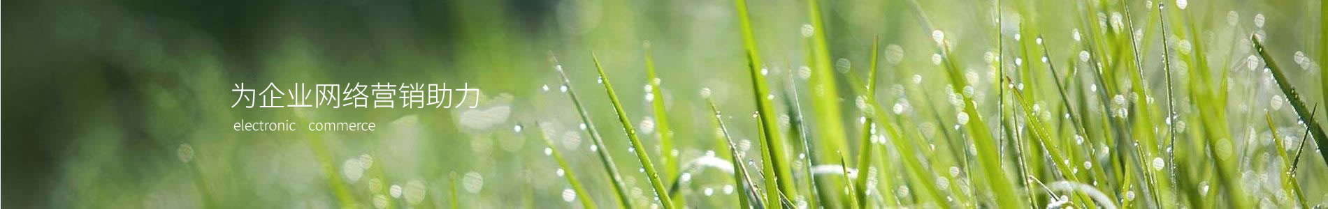 ڲܰܽ޹˾